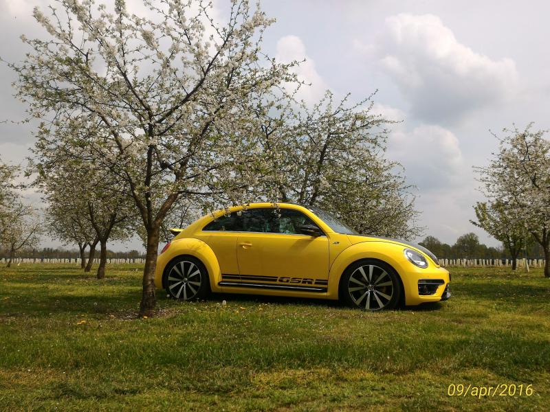 p 20160409 143445 1 p