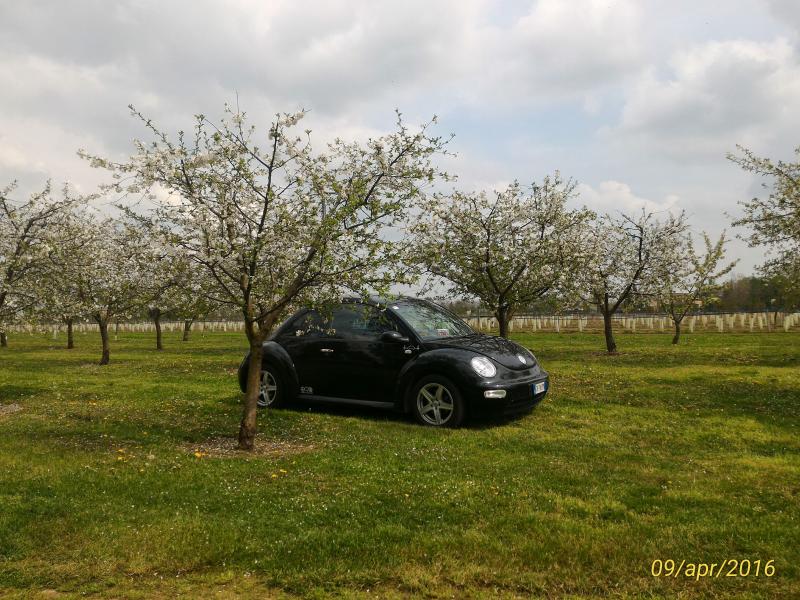 p 20160409 143601 1 p