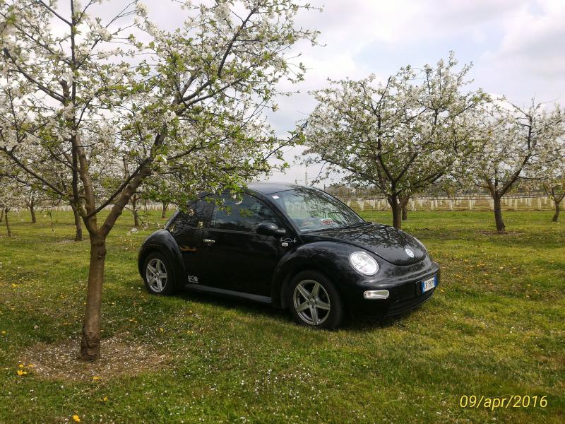 p 20160409 143609 1 p