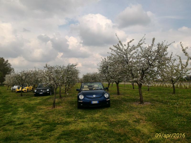 p 20160409 144908 1 p