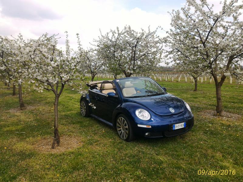 p 20160409 144918 1 p