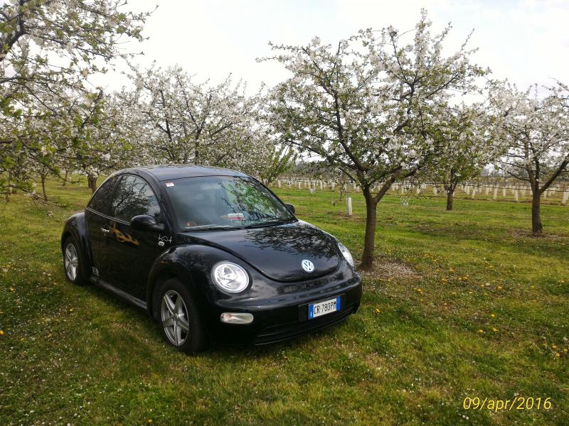 p 20160409 145047 1 p