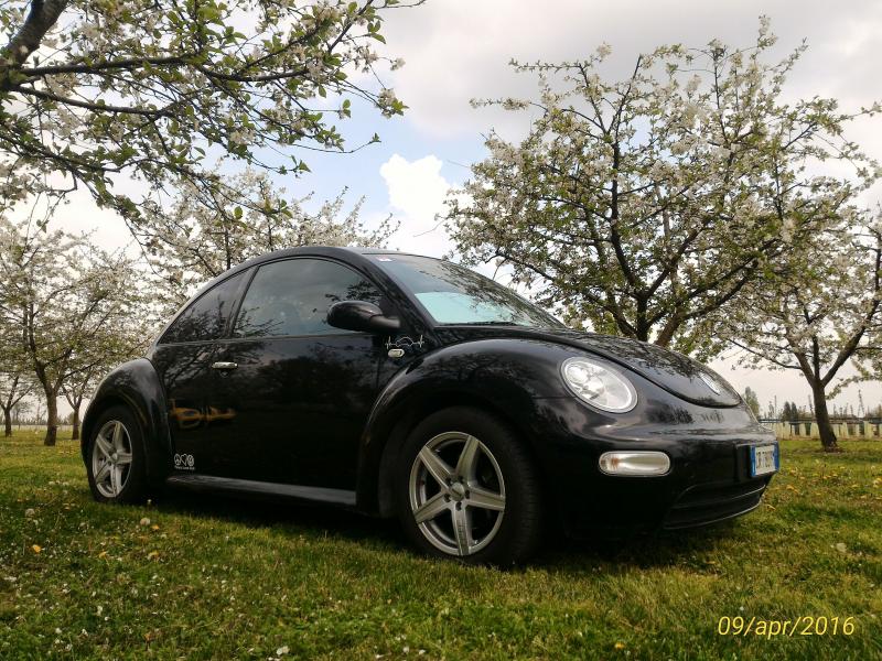 p 20160409 145056 1 p