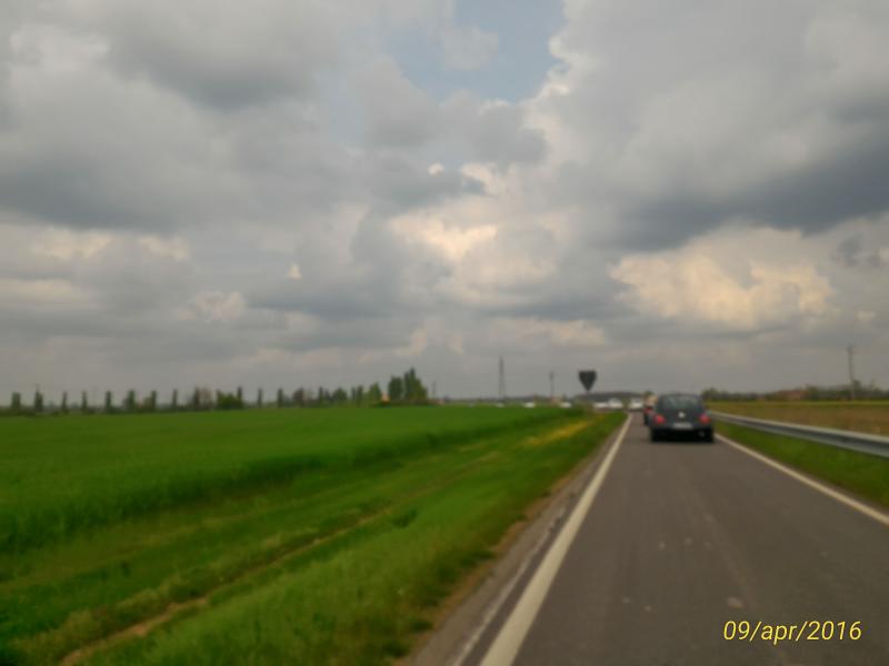 p 20160409 154423 1 p