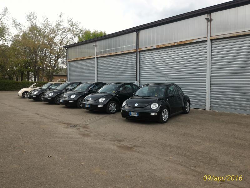 p 20160409 163309 1 p