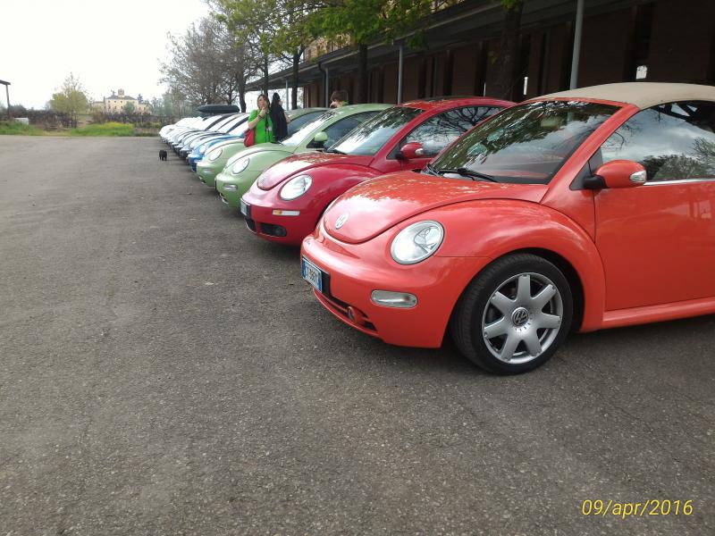 p 20160409 163558 1 p