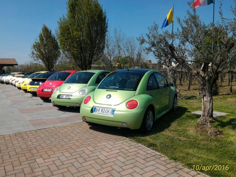 p 20160410 135929 1 p