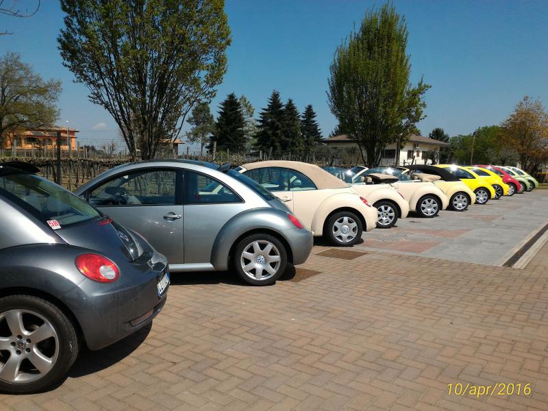 p 20160410 140028 1 p