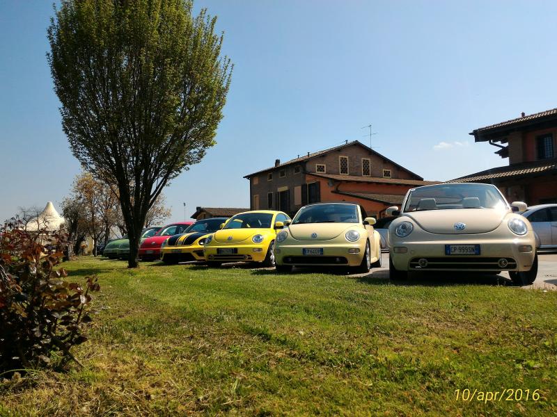 p 20160410 140232 1 p