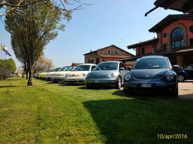 p 20160410 140252 1 p