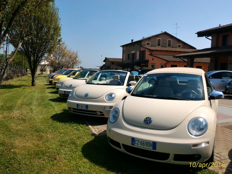 p 20160410 140311 1 p