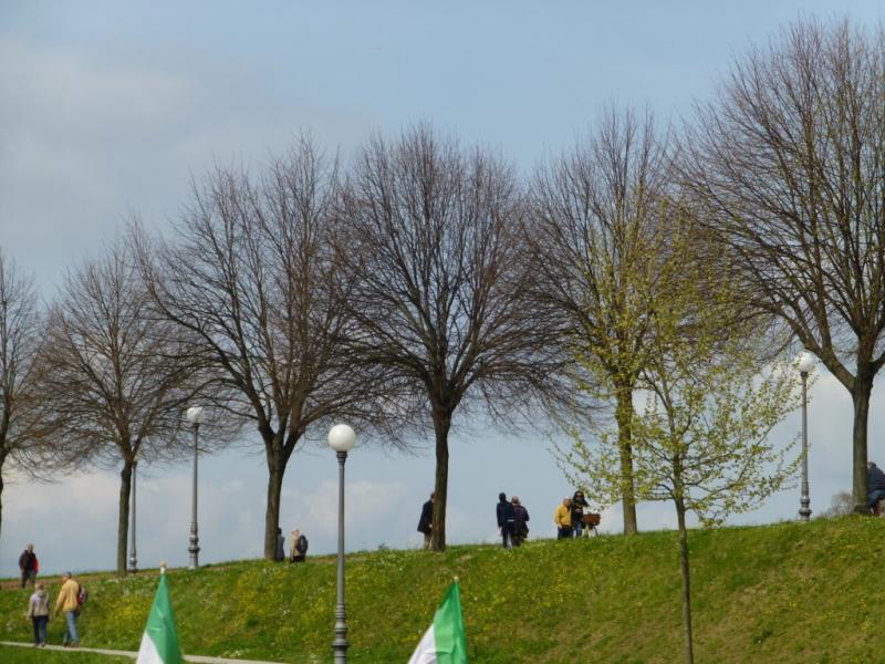 p1020963 fileminimizer