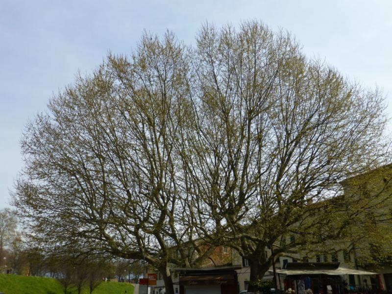 p1020964 fileminimizer