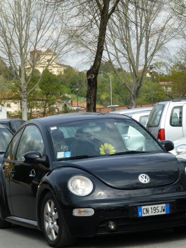 p1020989 fileminimizer