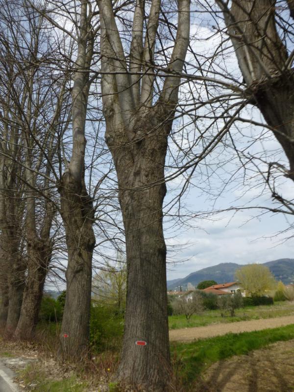 p1020995 fileminimizer