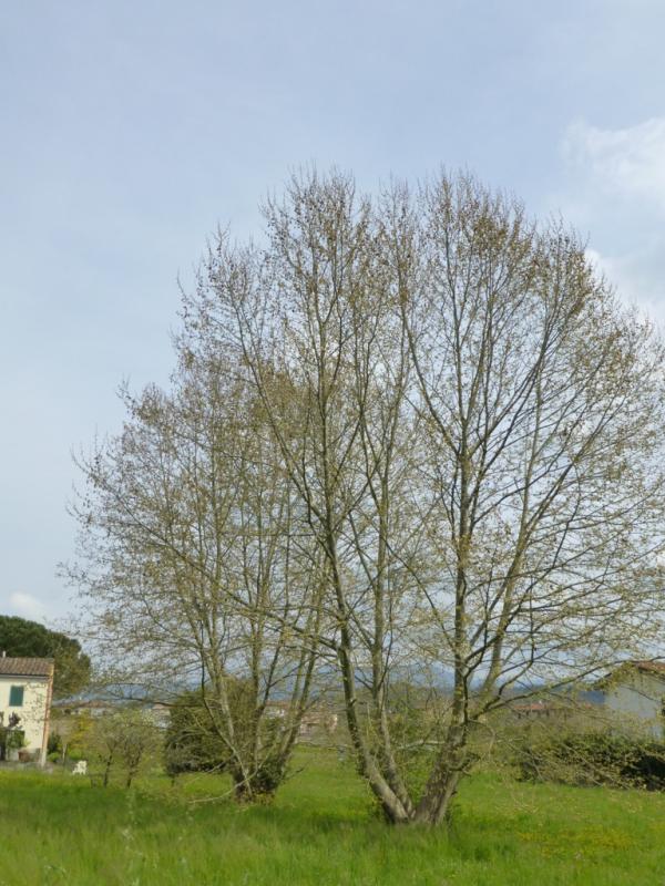 p1020996 fileminimizer