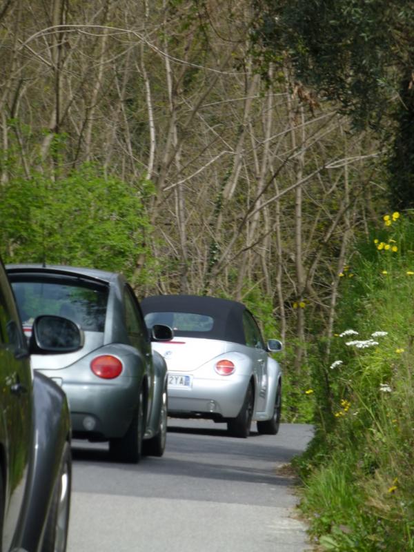 p1030010 fileminimizer