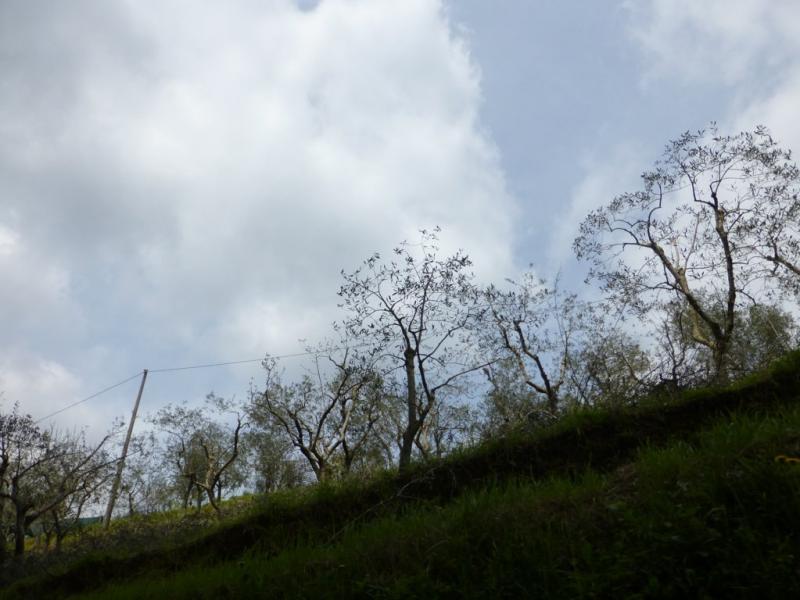 p1030015 fileminimizer