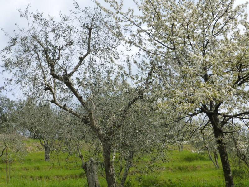 p1030016 fileminimizer