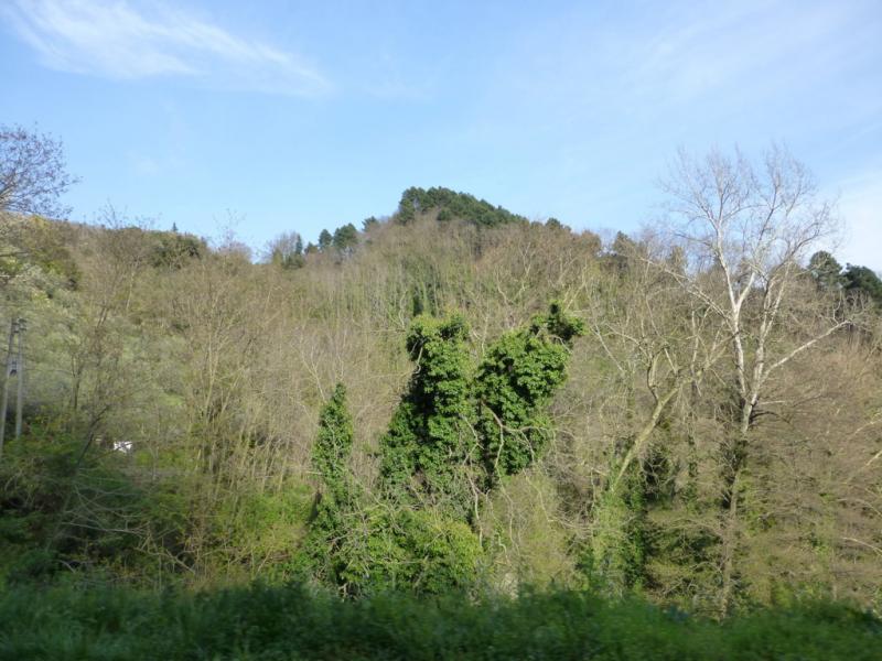 p1030035 fileminimizer