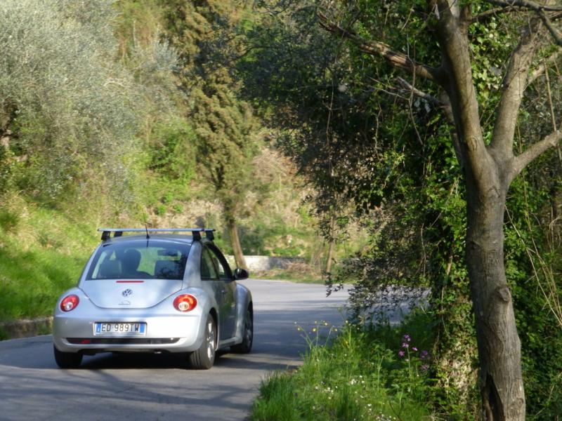 p1030036 fileminimizer