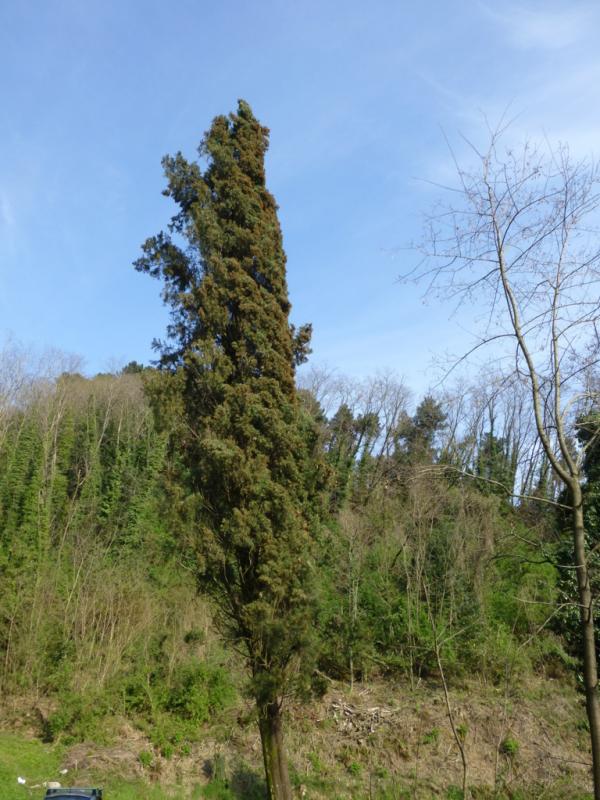 p1030037 fileminimizer