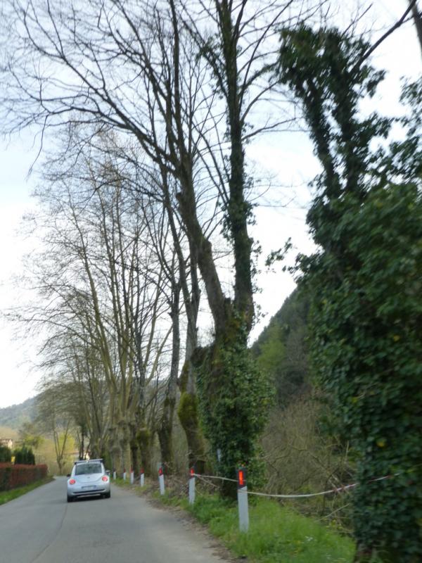 p1030051 fileminimizer