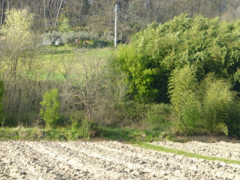 p1030060 fileminimizer