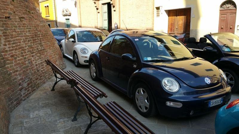 Qualche scatto qua e l?