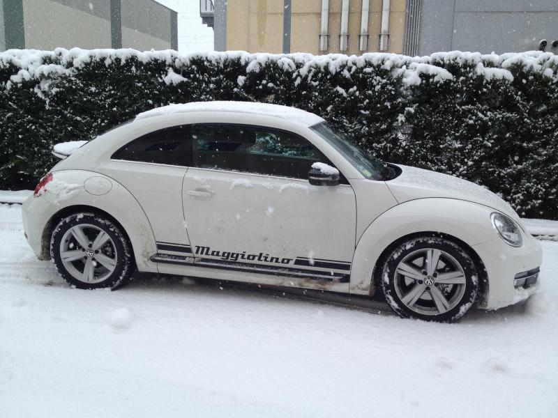 Questo ? il mio!!!!!!!