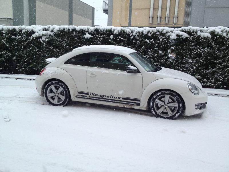 Questo ? il mio!!!!!!!