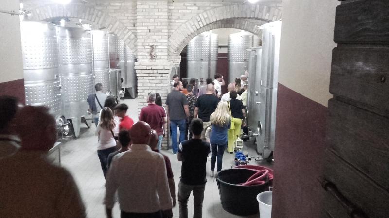 Raduno ad alto grad....azione ! :-D