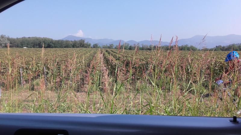 Raduno ad alto grad....azione ! :-D