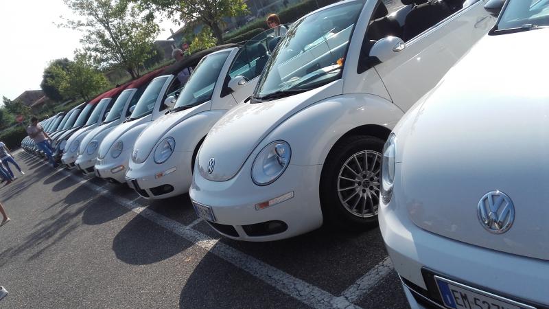 Raduno ad alto grad....azione ! :-D