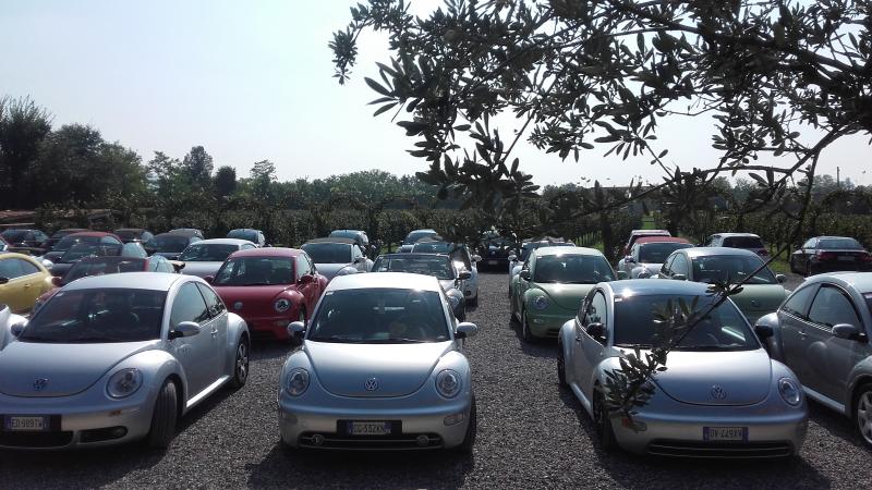 Raduno ad alto grad....azione ! :-D