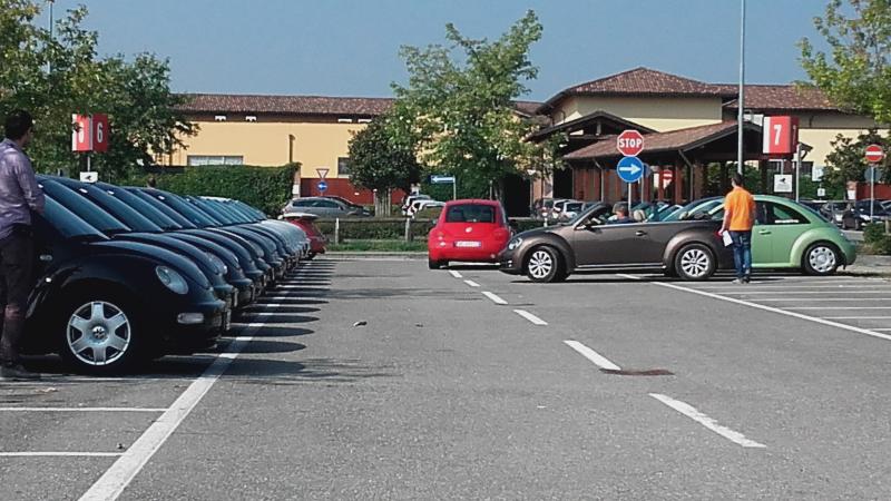 Raduno ad alto grad....azione ! :-D