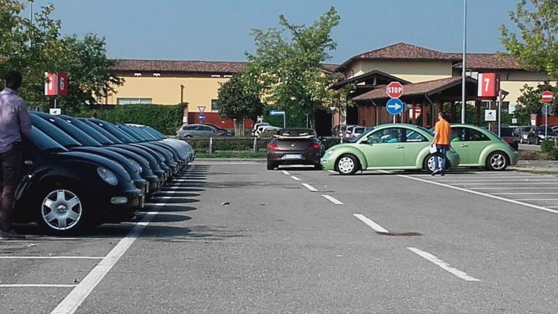 Raduno ad alto grad....azione ! :-D