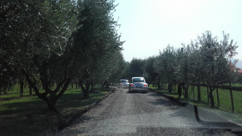 Raduno ad alto grad....azione ! :-D