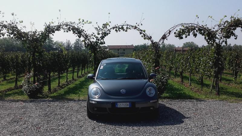 Raduno ad alto grad....azione ! :-D