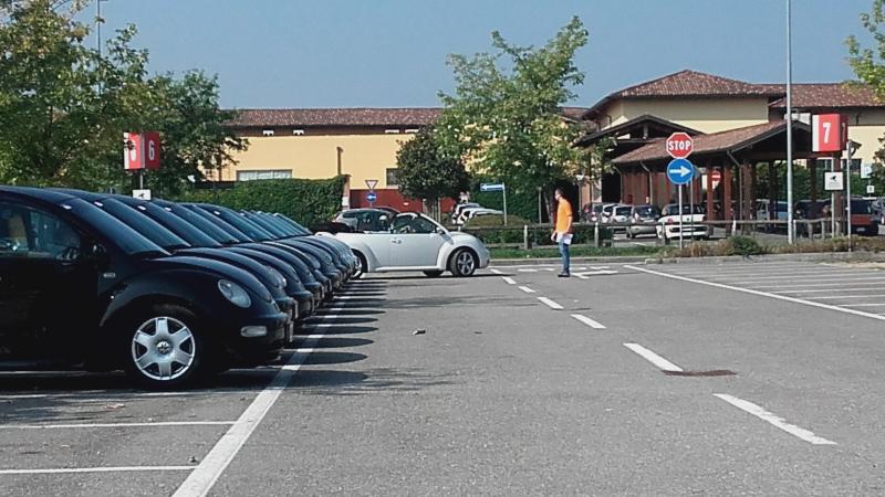 Raduno ad alto grad....azione ! :-D