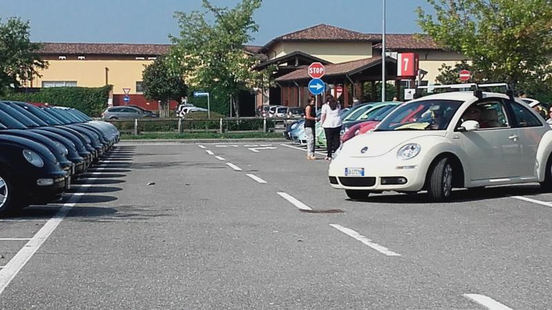 Raduno ad alto grad....azione ! :-D