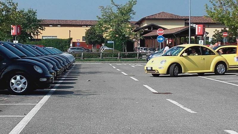 Raduno ad alto grad....azione ! :-D