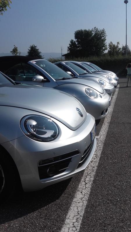 Raduno ad alto grad....azione ! :-D