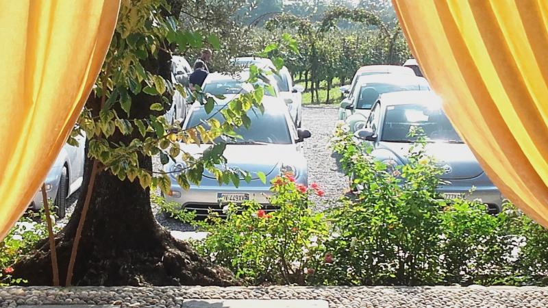 Raduno ad alto grad....azione ! :-D