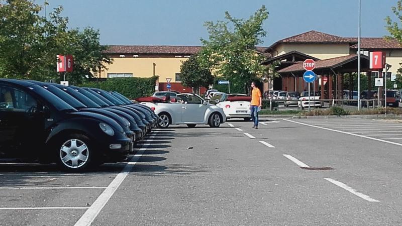 Raduno ad alto grad....azione ! :-D