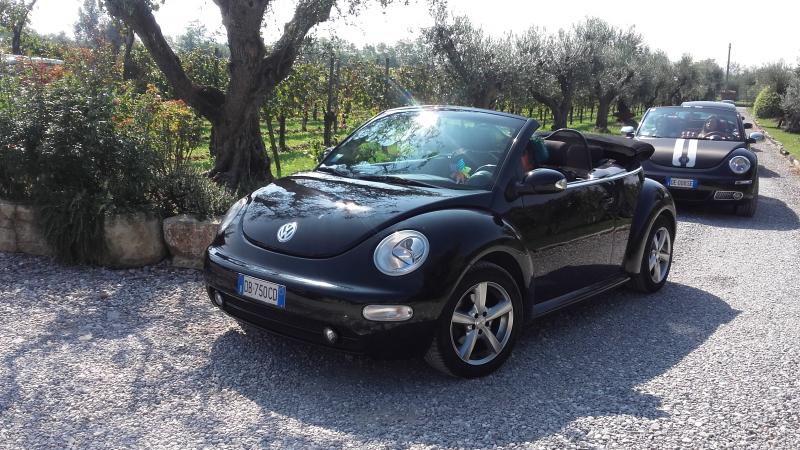 Raduno ad alto grad....azione ! :-D