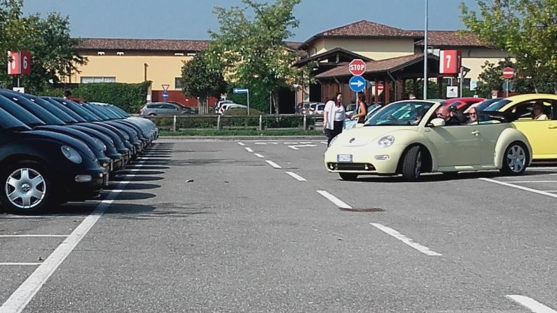 Raduno ad alto grad....azione ! :-D