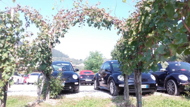 Raduno ad alto grad....azione ! :-D