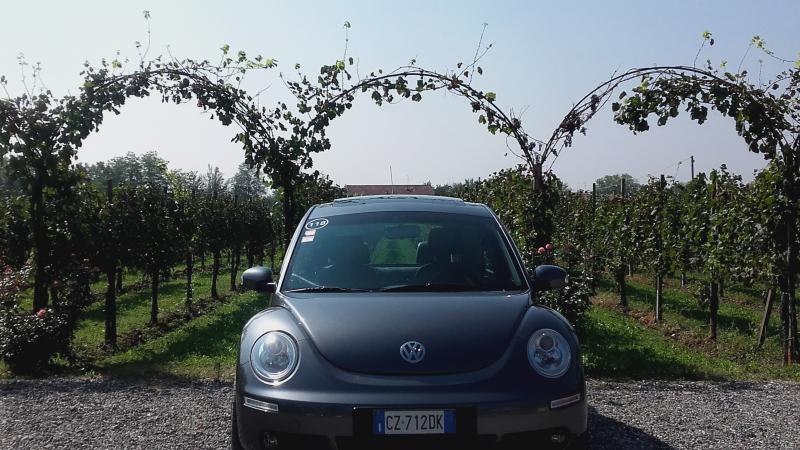 Raduno ad alto grad....azione ! :-D