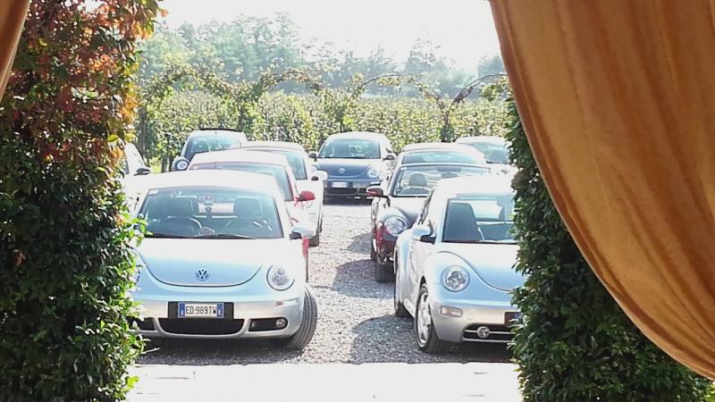 Raduno ad alto grad....azione ! :-D